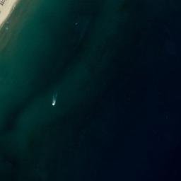 Satellite imagery of survey_point, DZ