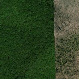 Satellite imagery of Huckleberry Ridge, US
