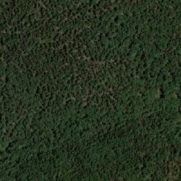 Satellite imagery of Bled Djemaa el Guerfi, DZ