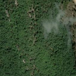 Satellite imagery of survey_point, DZ