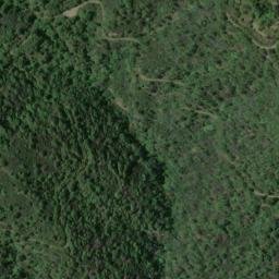 Satellite imagery of survey_point, DZ