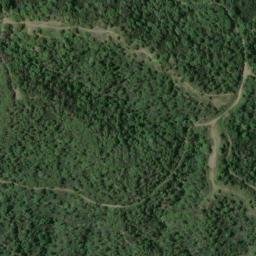 Satellite imagery of survey_point, DZ
