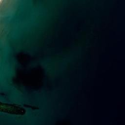 Satellite imagery of survey_point, DZ