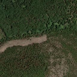Satellite imagery of Bled Djemaa el Guerfi, DZ