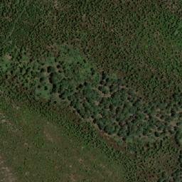 Satellite imagery of Bled Djemaa el Guerfi, DZ