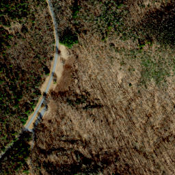Satellite imagery of High Piney Spur, US