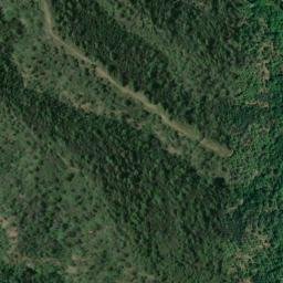 Satellite imagery of survey_point, DZ