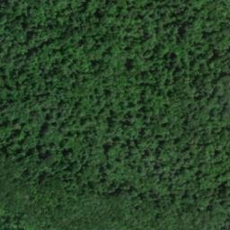 Satellite imagery of Blue Ridge, US