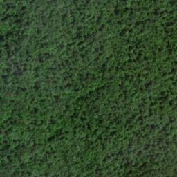 Satellite imagery of Blue Ridge, US