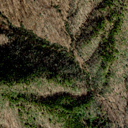 Satellite imagery of High Piney Spur, US