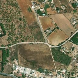 Satellite imagery of survey_point, DZ