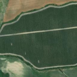 Satellite imagery of survey_point, DZ