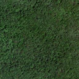 Satellite imagery of Blue Ridge, US