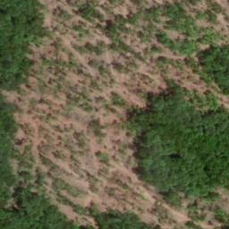 Satellite imagery of Blue Ridge, US