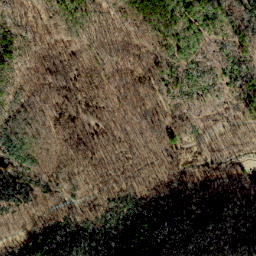 Satellite imagery of High Piney Spur, US