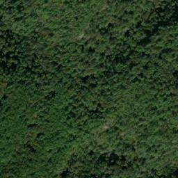 Satellite imagery of Fork Ridge, US