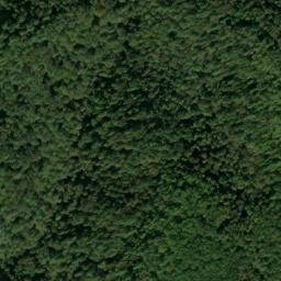 Satellite imagery of Fork Ridge, US