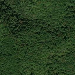 Satellite imagery of Fork Ridge, US