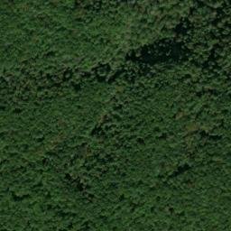 Satellite imagery of Fork Ridge, US