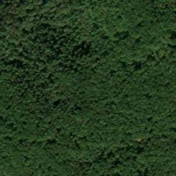 Satellite imagery of Fork Ridge, US