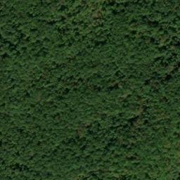 Satellite imagery of Fork Ridge, US