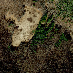 Satellite imagery of Bakers Ridge, US