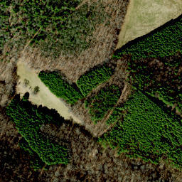 Satellite imagery of Bakers Ridge, US