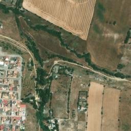 Satellite imagery of survey_point, DZ