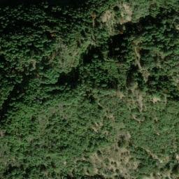 Satellite imagery of survey_point, DZ