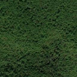 Satellite imagery of Fork Ridge, US