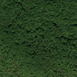 Satellite imagery of Fork Ridge, US