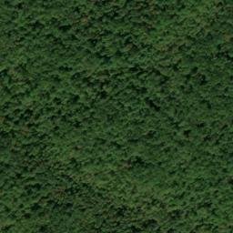 Satellite imagery of Fork Ridge, US