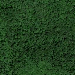 Satellite imagery of Jack Ridge, US