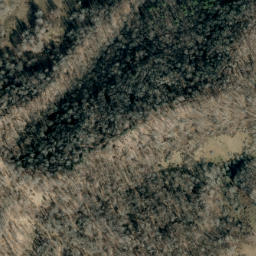 Satellite imagery of Zach Ridge, US