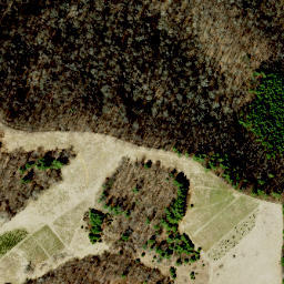 Satellite imagery of Bakers Ridge, US