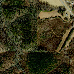 Satellite imagery of Chestnut Ridge, US