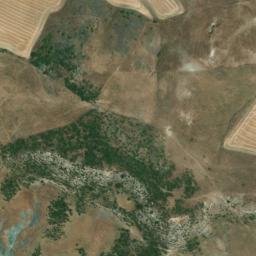 Satellite imagery of survey_point, DZ