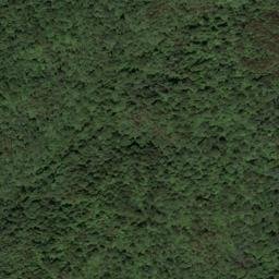 Satellite imagery of McCormick Ridge, US