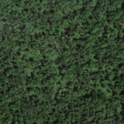 Satellite imagery of Sawmill Ridge, US