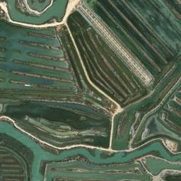 Satellite imagery of survey_point, DZ