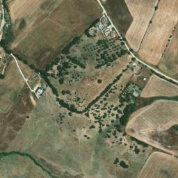 Satellite imagery of survey_point, DZ