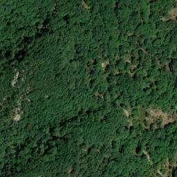 Satellite imagery of survey_point, DZ