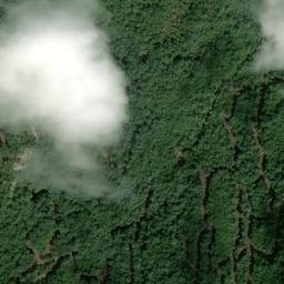 Satellite imagery of survey_point, DZ
