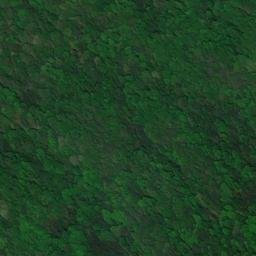 Satellite imagery of Holston River Mountain, US