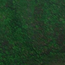 Satellite imagery of Holston River Mountain, US