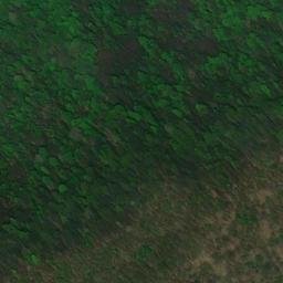 Satellite imagery of Holston River Mountain, US