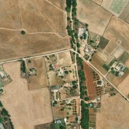 Satellite imagery of survey_point, DZ