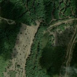 Satellite imagery of survey_point, DZ