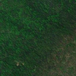 Satellite imagery of Holston River Mountain, US