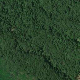 Satellite imagery of Lick Ridge, US